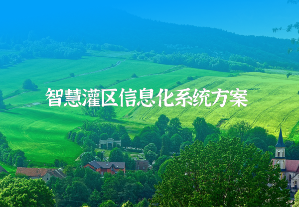 net網站解決方案封面.png